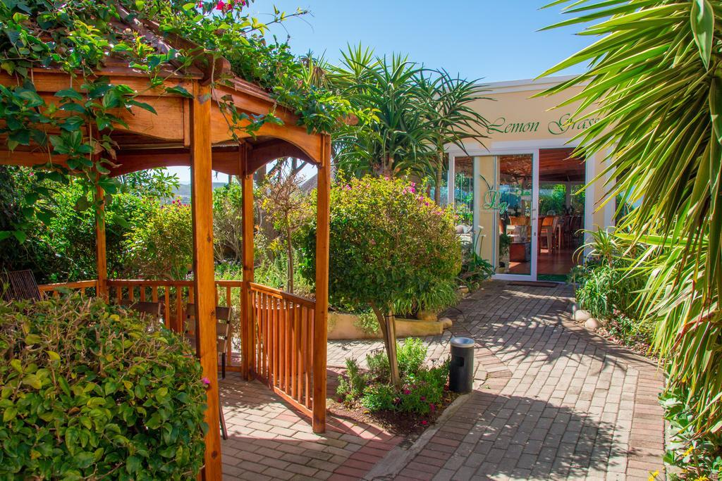 Bed and Breakfast Milkwood Manor On Sea à Plettenberg Bay Extérieur photo